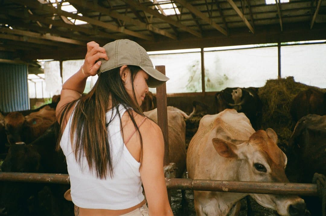 Jaclyn and the cows
