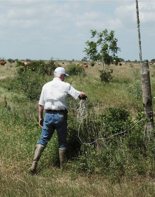 Farmer handling crops in a field