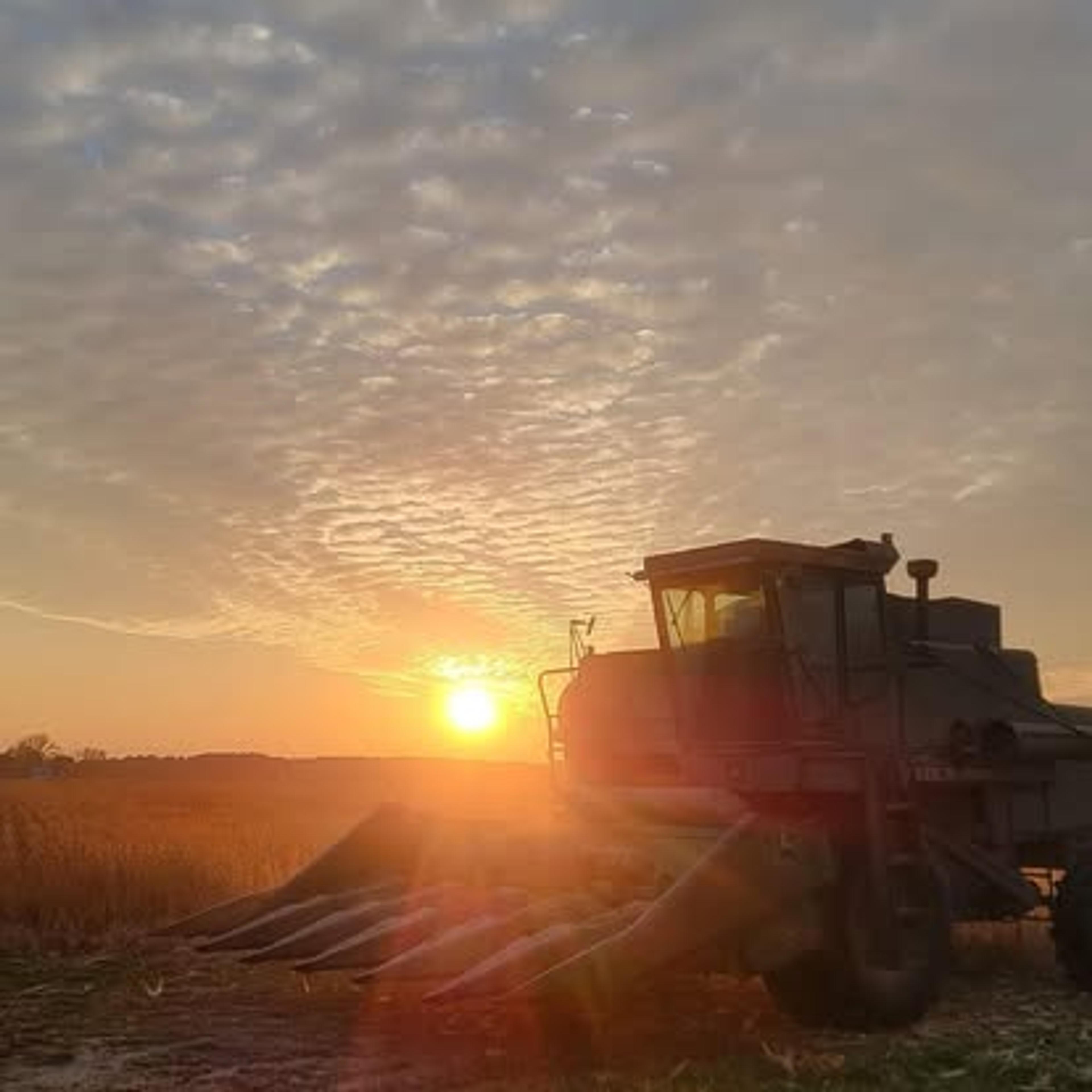 How Lee Carey Farms reduced bookkeeping from 50 hours in a week to 10 minutes